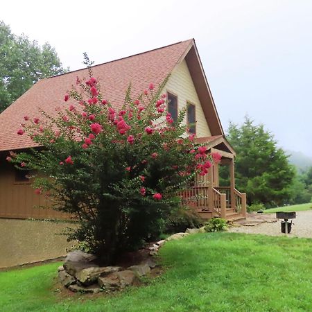 Scenic Fox Ridge Cabin On 4 Acres With Hot Tub! Whittier Zewnętrze zdjęcie